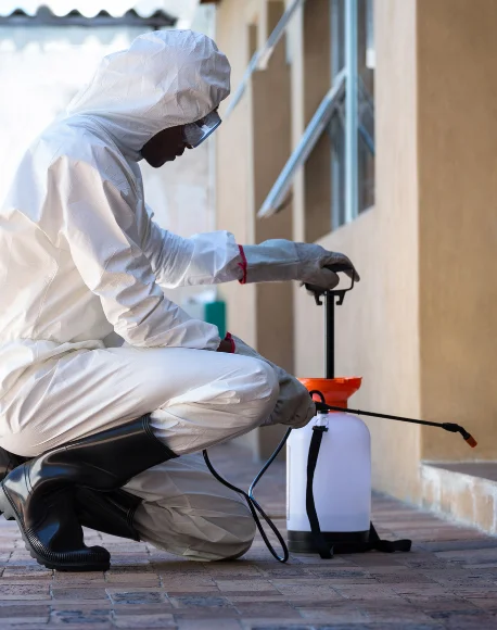 professional pest control services in Ahmedabad Gujarat